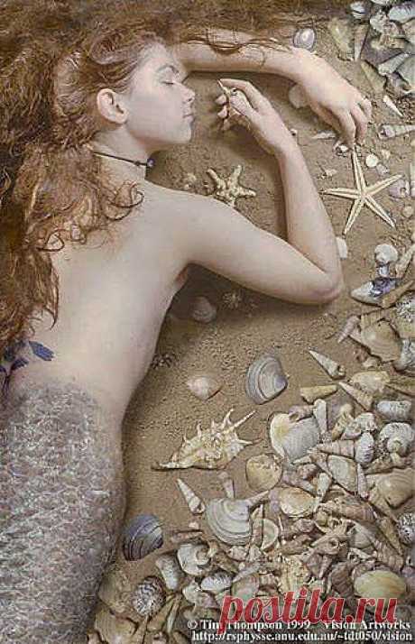 Mermaid by Tim Thompson. | The Fairy Artist