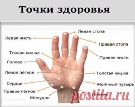 МАССИРУЯ ПАЛЕЦ ПО 1 МИНУТЕ В ДЕНЬ, ПОРАЗИШЬСЯ ТОМУ, ЧТО СЛУЧИТСЯ С ТВОИМ ТЕЛОМ
Точки на большом пальце отвечают за сердце и легкие. Учащенное сердцебиение можно постепенно исправить с помощью массажа этого пальца. 
Указательный палец 
Отвечает за работу ЖКТ. Боли в животе, трудности при пищеварении можно легко преодолеть, массируя указательный палец. 
Средний палец 
Циркуляция крови — его забота. При тошноте, головокружении или бессонице просто помассируй средний палец. 
Безымянный палец