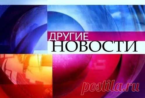 Другие новости / Объявления / Модный сайт о стильной переделке одежды и интерьера
