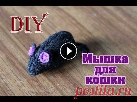 Как сделать мышку из фетра / Игрушка для кошки своими руками / Toy for a сat with own hands / DIY Мастер класс: Как своими руками сшить мышку из фетра. Шьем игрушку для кошки. Спасибо за ПОДПИСКУ! - Thank`s for subscribe! Смотрите мастер-класс, ста...