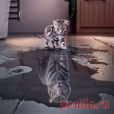 каждая пипетка мечтает стать клизмой.