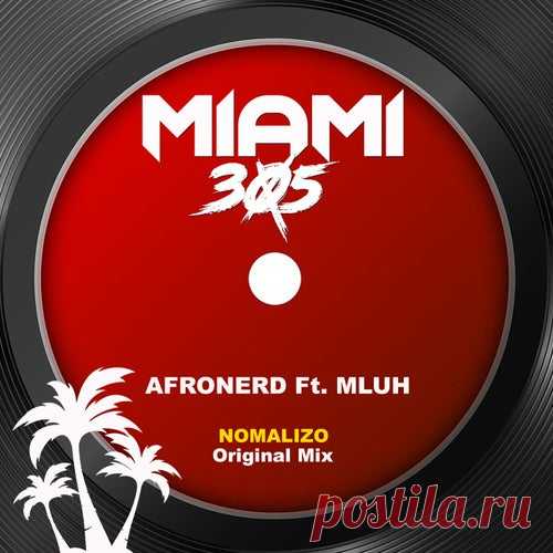 AfroNerd - Nomalizo (feat. Mluh) [Miami 305]