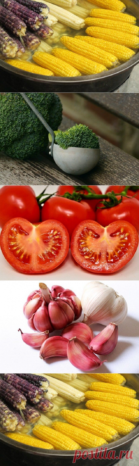 Диета против рака: продукты, которые предотвращают рак и помогают с ним бороться