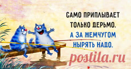 Вот так выглядит настоящая мотивация!