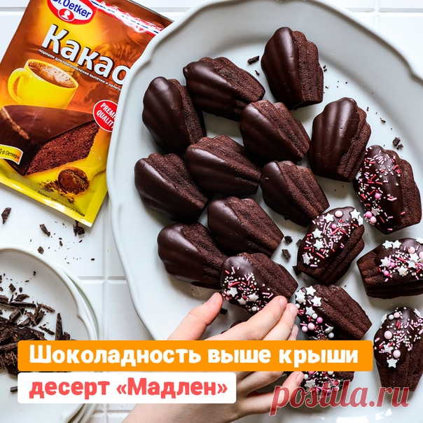 Мадлен в шоколаде
