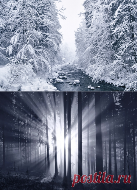 «Зимняя сказка»: пейзажные фотографии заснеженной природы