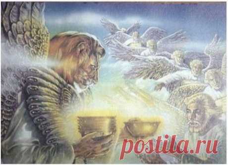Чаши гнева