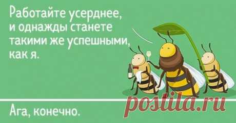 15 комиксов о превратностях жизни животных (Спойлер: они мало чем отличаются от людей) . Милая Я