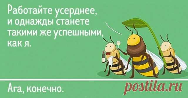 15 комиксов о превратностях жизни животных (Спойлер: они мало чем отличаются от людей) . Милая Я