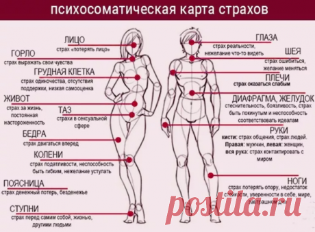 Сохранить здоровье без таблеток? Система Луизы Хей | 7 минут на красоту | Яндекс Дзен