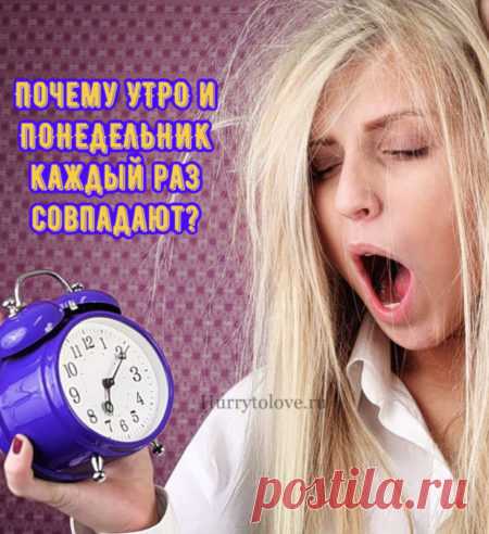 Картинки про утро понедельника: прикольные и красивые открытки с надписями на понедельник