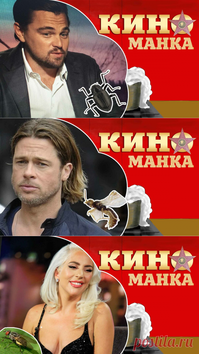 5 новых видов насекомых, которые получили свое название в честь голливудских звезд | КиноМанка | Яндекс Дзен
Grouvellinus в честь ди Каприо
2 года назад в Малайзии было обнаружено новое насекомое - водный жук. Сотрудники научного центра, где проводились исследования новой находке, обоюдно приняли решение назвать его в честь знаменитого голливудского актера. Теперь жук зовется Леонардо ди Каприо.