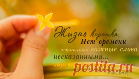 Красивые цитаты