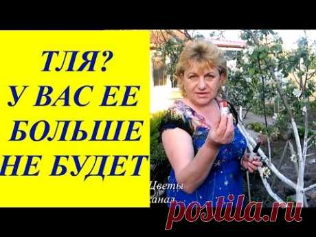 ТЛЯ??? У ВАС ЕЕ БОЛЬШЕ НЕ БУДЕТ!!!