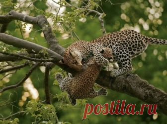 Мой Мир@Mail.Ru
