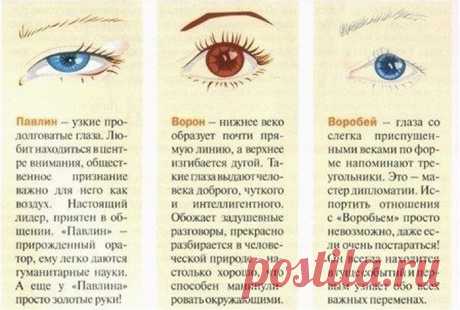 сообщение Lyudmila2807 : Форма глаз и характер (12:59 17-04-2014) [4707902/321512533] - lebaeva1961@mail.ru - Почта Mail.Ru
