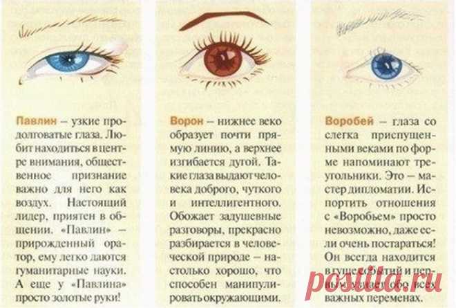 сообщение Lyudmila2807 : Форма глаз и характер (12:59 17-04-2014) [4707902/321512533] - lebaeva1961@mail.ru - Почта Mail.Ru
