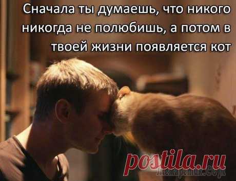 Смешные открытки с философские уклоном