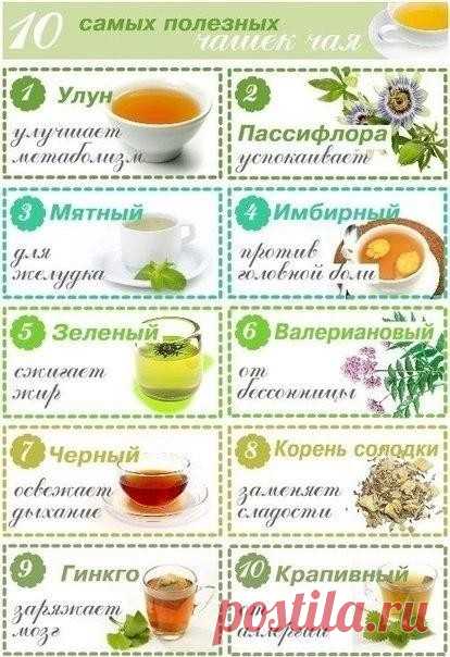 10 самых полезных чашекчая 
 
1. Улун (название, которое может быть на упаковке – Oolong). Чай улун улучшает метаболизм. Цветовая гамма заварки – от бледно-нефритового (как у зеленого чая) до темно-золотистого и темно-красного. Чем краснее чай, тем он больше помогает в похудении, за счет содержащихся в нем полифенолов. Четыре чашки улуна позволяют съесть 1 небольшой десерт без вреда для фигуры.
 
2. Пассифлора (название, которое может быть на упаковке – Passion flower). Эт...
