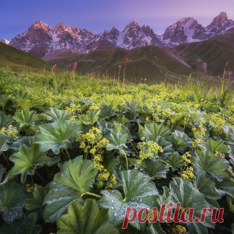 Северная Осетия. Автор фото: Антон Агарков.