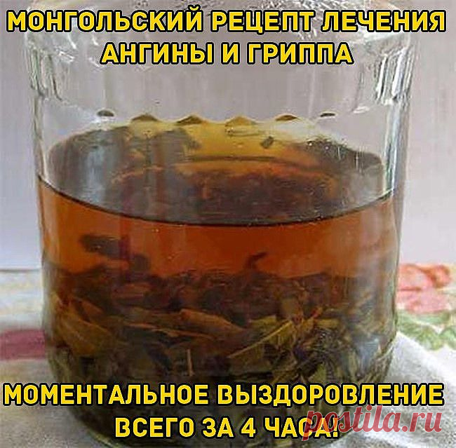Монгольский рецепт лечения ангины и гриппа | ПолонСил.ру - социальная сеть здоровья