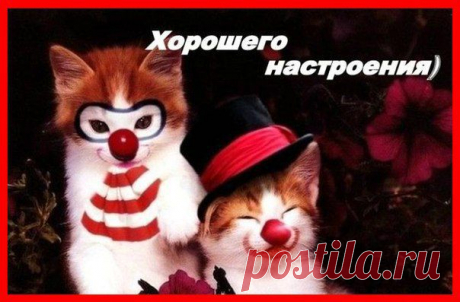 Интересные новости
