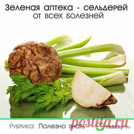 Photo by Здоровье | Healthy You on February 22, 2020. На изображении может находиться: текст и еда