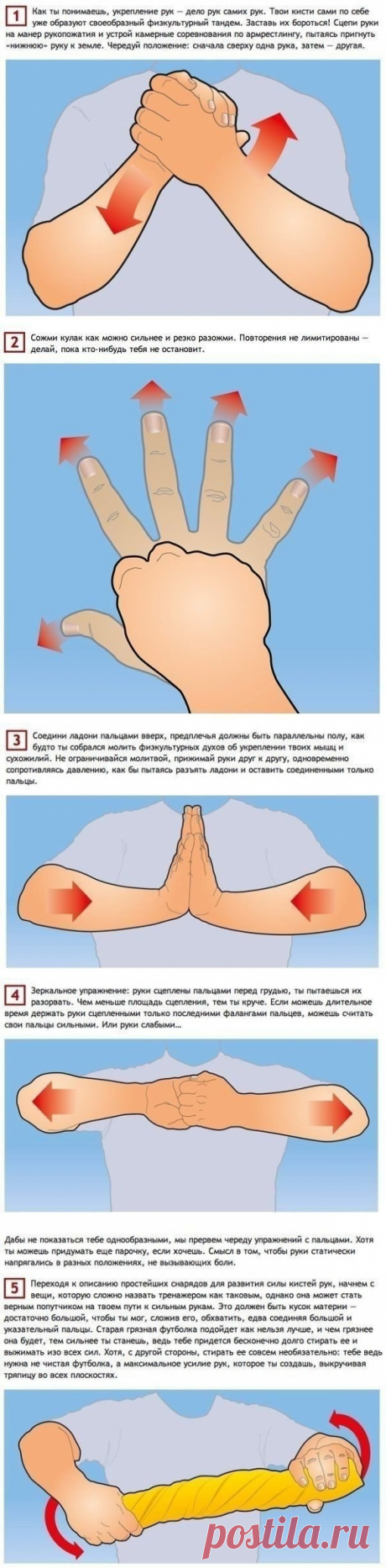 Простые упражнения, тренирующие все 27 мышц рук. - полезные советы