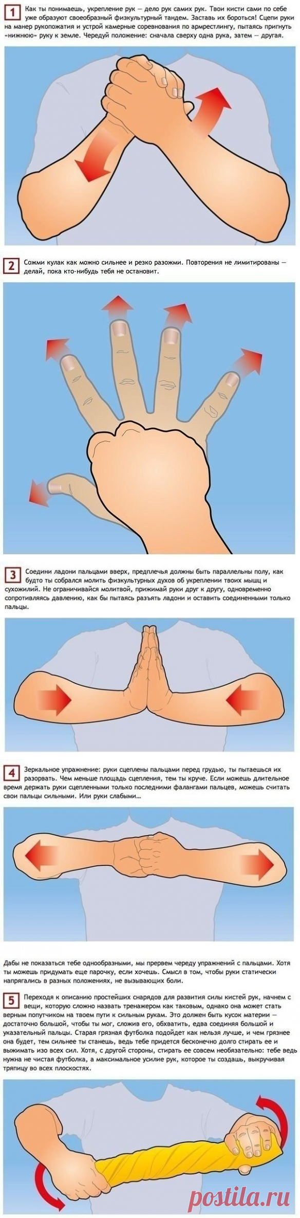 Простые упражнения, тренирующие все 27 мышц рук. - полезные советы