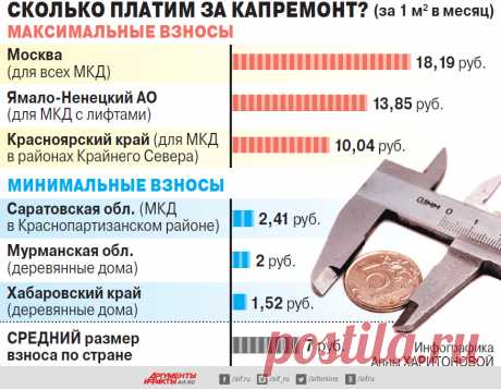 Комар взноса не подточит. Как предлагают упростить льготы на капремонт? | ЖКХ | Недвижимость | Аргументы и Факты