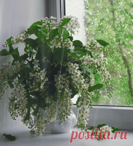 Мой Мир@Mail.Ru