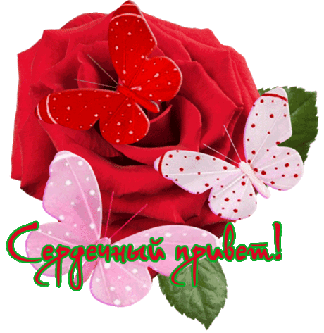 s-165080.gif (550×565)