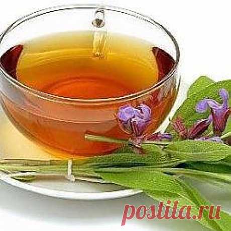 Чай молодости всех времен.