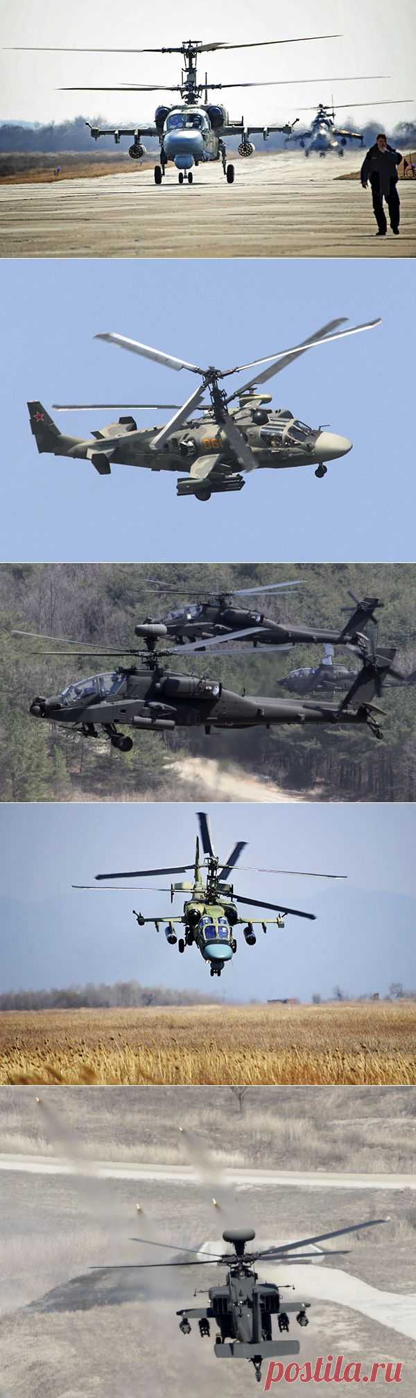 Воздушные бои: Ка-52 "Аллигатор" против AH-64 Apache — Илья Щеголев — Российская газета