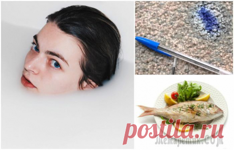 Молочные реки: 11 уважительных причин всегда иметь дома пакет молока О вкусах не спорят. Особенно, о вкусах кулинарных. Кому-то подавай фондю и сыр с мармеладом, ценой в треть месячной зарплаты, а кому-то и чизбургер из соседнего фастфуда – деликатес. Но вне зависимост...