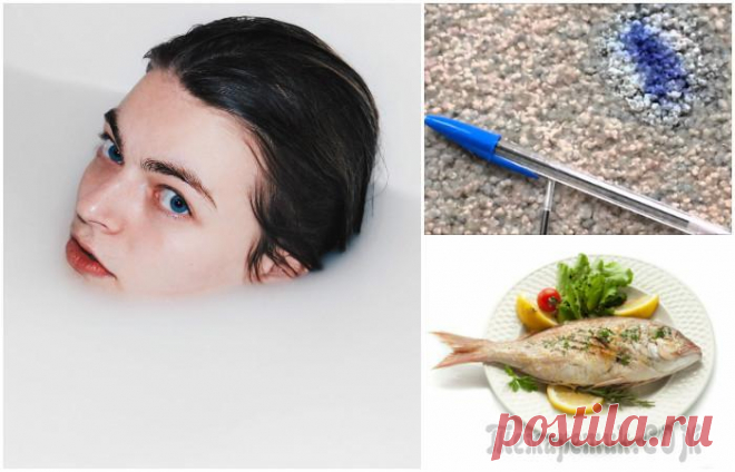 Молочные реки: 11 уважительных причин всегда иметь дома пакет молока О вкусах не спорят. Особенно, о вкусах кулинарных. Кому-то подавай фондю и сыр с мармеладом, ценой в треть месячной зарплаты, а кому-то и чизбургер из соседнего фастфуда – деликатес. Но вне зависимост...