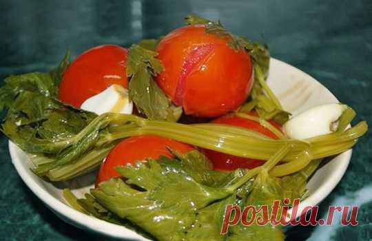 Квашенные помидоры по-быстрому ⋆ Кулинарная страничка