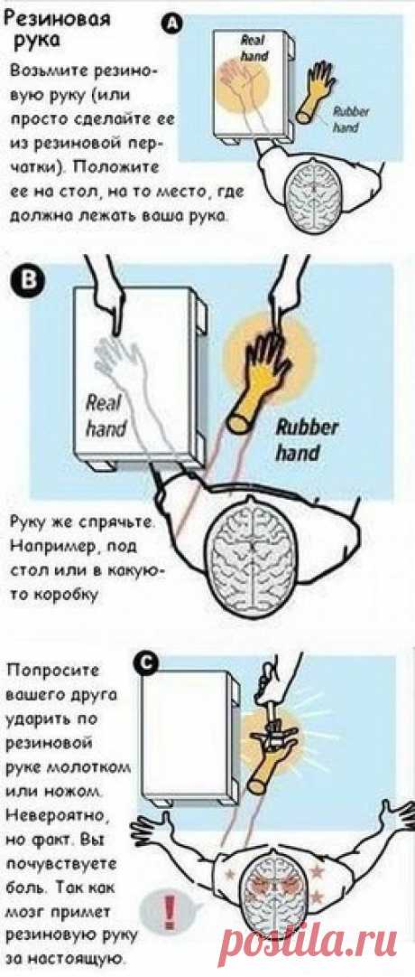 Мир интересен