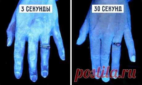 Вещи, о которых нам не рассказывали в школе. А жаль