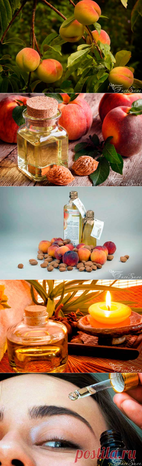 Персиковое масло: рецепты применения для лица от мощин, для тела