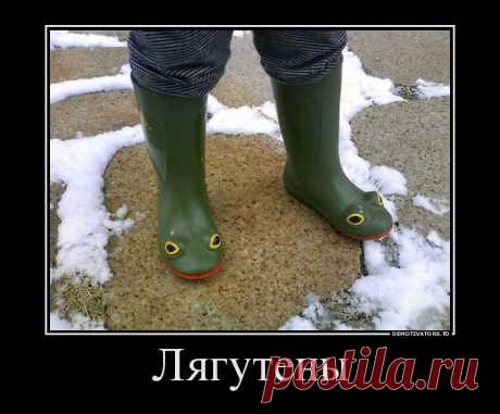 Спорил с женой до хрипоты.