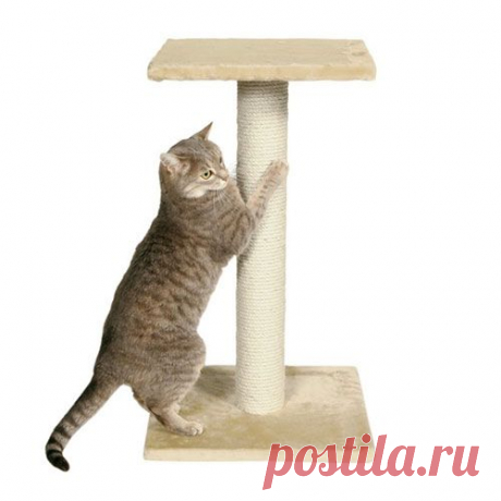 Когтеточка для кошки своими руками. Мастер-класс. - Кошка в доме