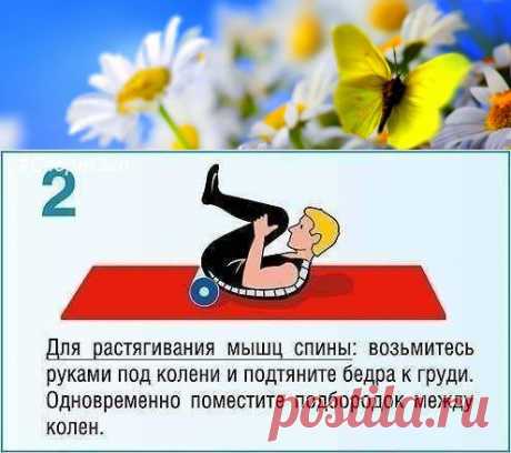 Гимнастика для позвоночника | Правила здоровья и долголетия