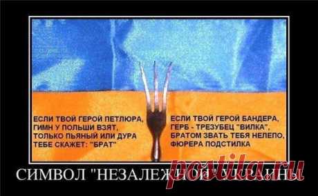 НОВОРОССИЯ | Юго-Восток Украины | АнтиМайдан