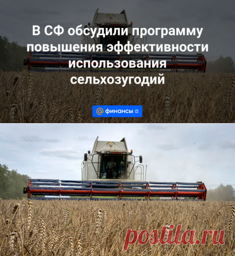 22-4-24--В СФ обсудили программу повышения эффективности использования сельхозугодий - Финансы Mail.ru