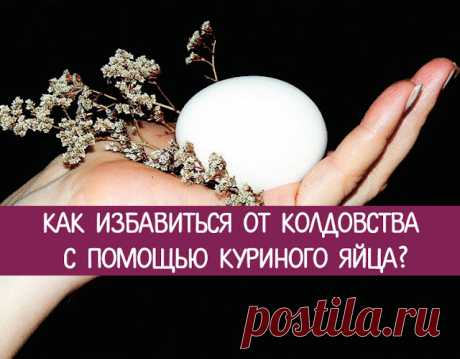 Черная полоса в жизни. Как избавиться от колдовства с помощью куриного яйца? - Эзотерика и самопознание