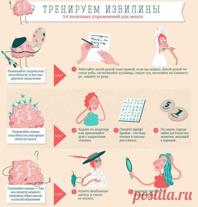 Тренируем извилины. 14 полезных упражнений для мозга