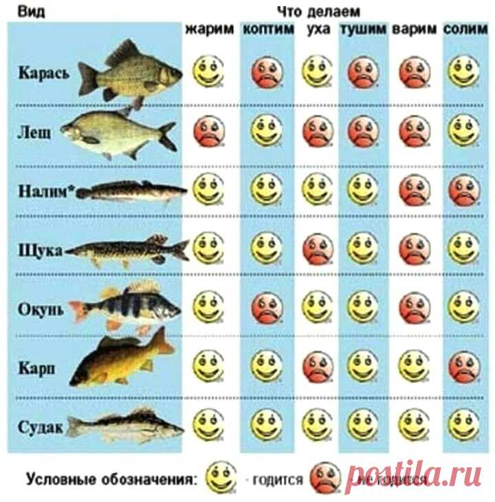 Что приготовить из рыбы