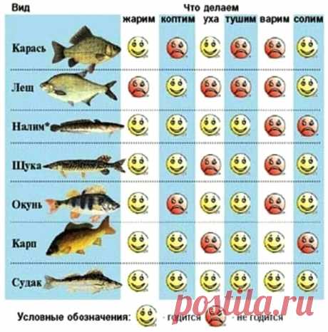 Что приготовить из рыбы