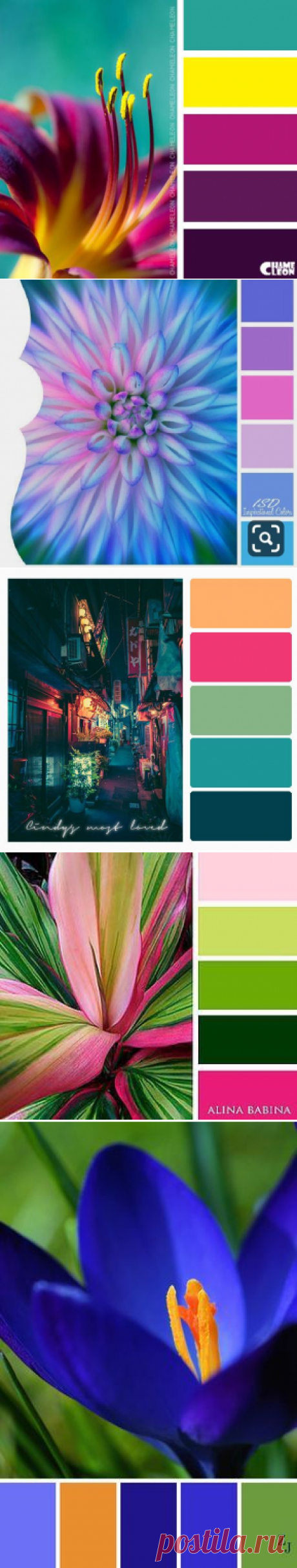 (1765) Pinterest